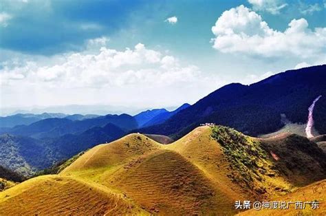 廣西十萬大山|驚呆了，原來十萬大山還有這樣的傳說，你知道嗎